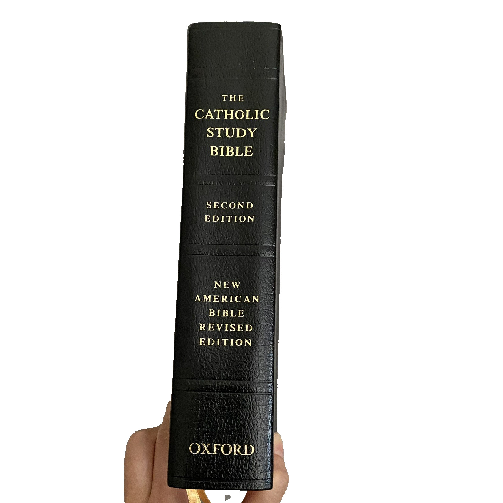 The Catholic Study Bible: New American Bible (Bonded Leather ) by Oxford 2010