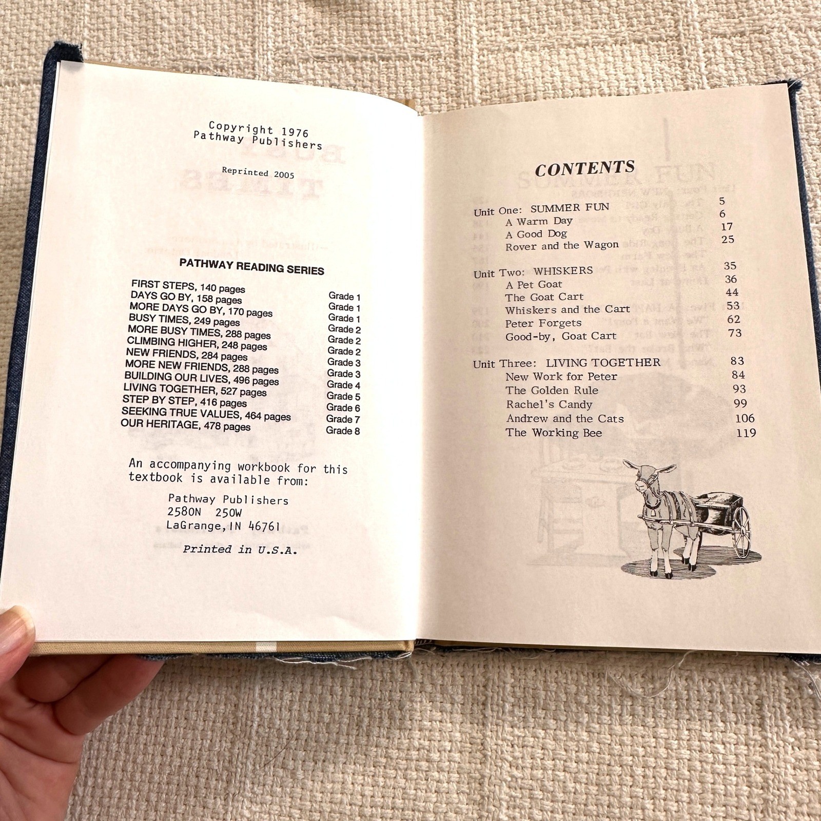 VTG Busy Times Pathway Reading Series Grade 2 Textbook Denim Bird Cover
