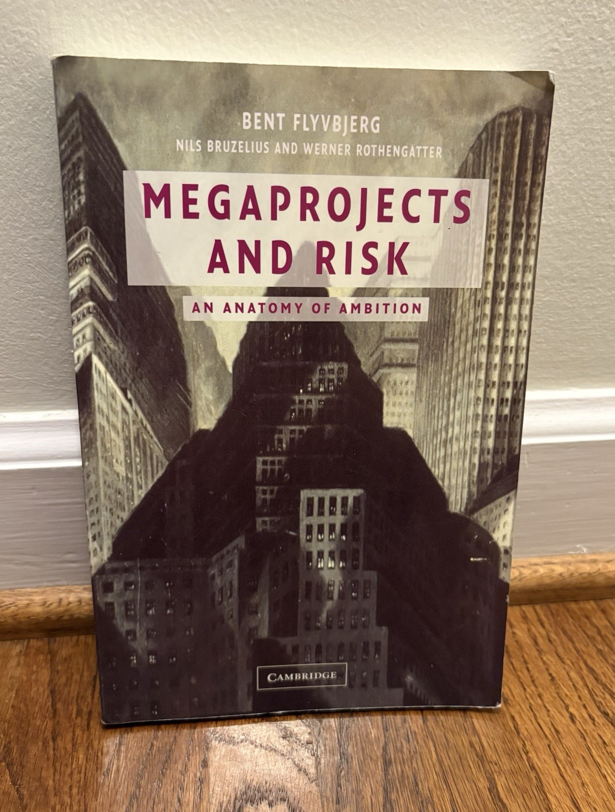 Megaprojects and Risk – lyvbjerg, Rothengatter & Bruzelius (PB) – Free Ship!