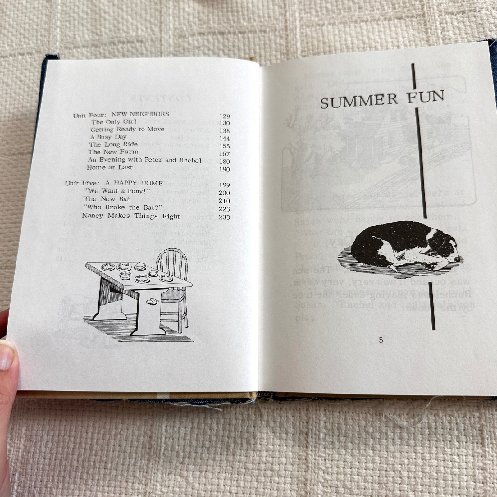 VTG Busy Times Pathway Reading Series Grade 2 Textbook Denim Bird Cover