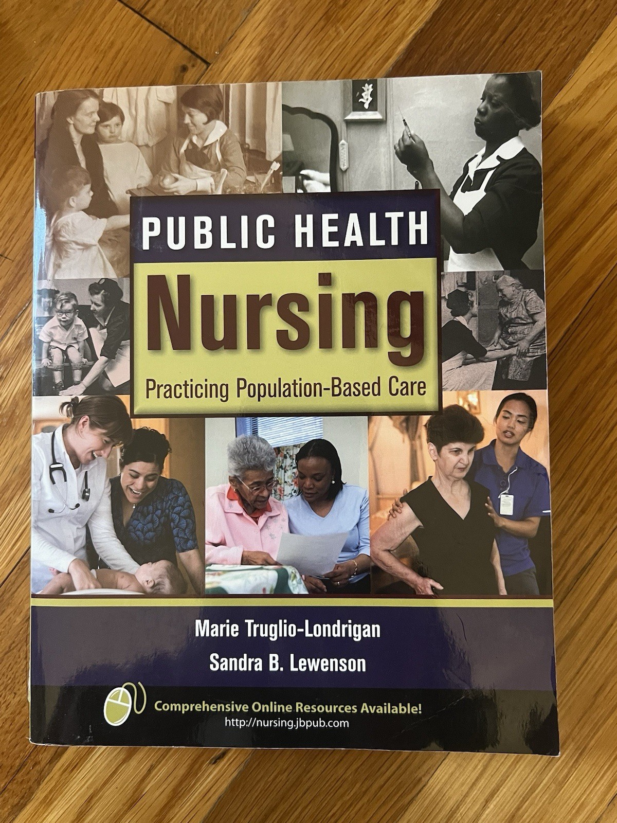 Public Health Nursing : From Application to Practice by Sandra B. Lewenson