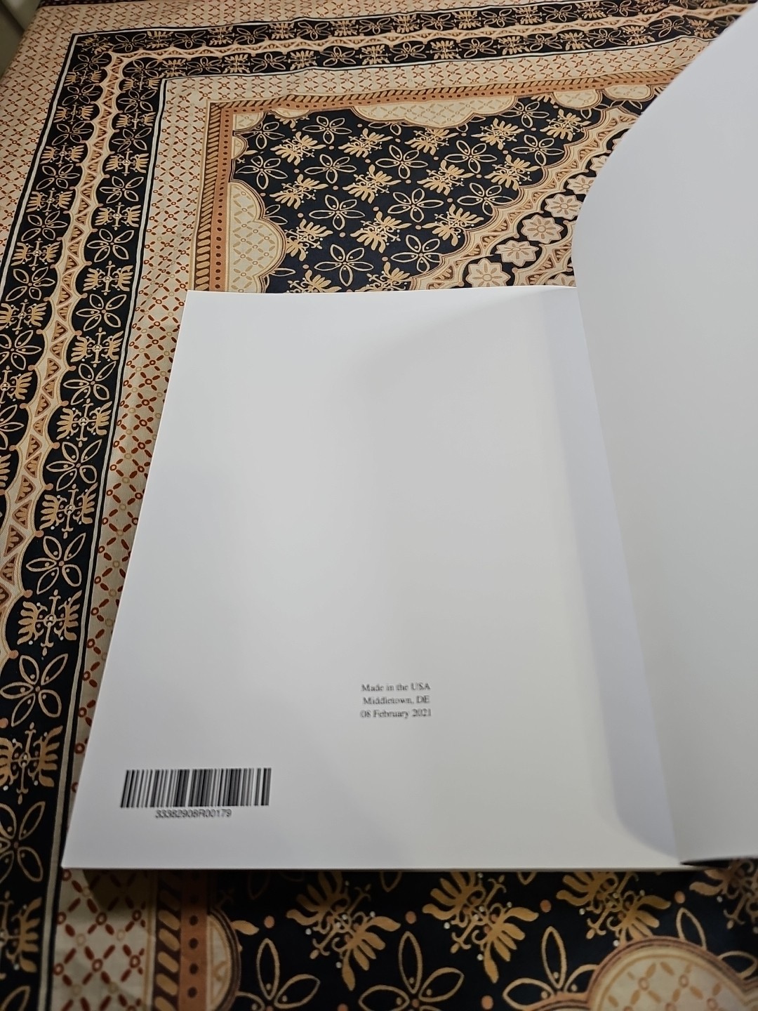 BRAND NEW Dragon Professional – A Step Further PB BOOK (c) 2021 Michael Shepherd