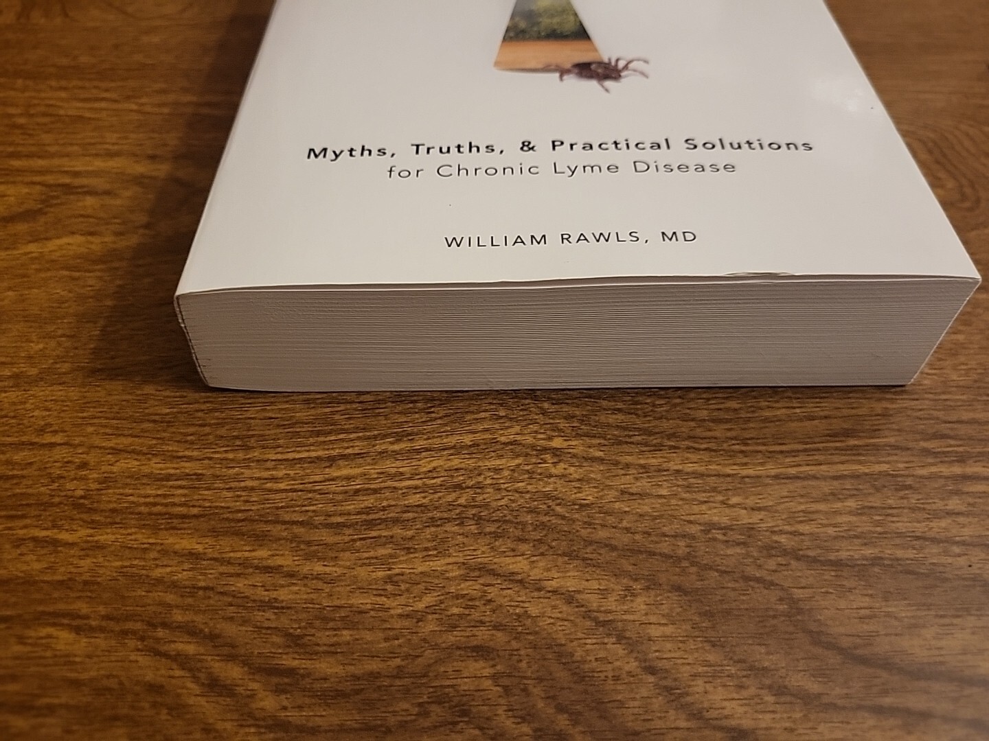 Unlocking Lyme : Myths, Truths, and Practical Solutions for Chronic Lyme Disease