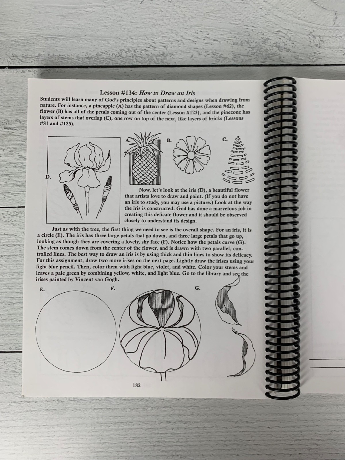 Feed My Sheep Art Curriculum Spiral bound by Barry Stebbing Book Homeschool