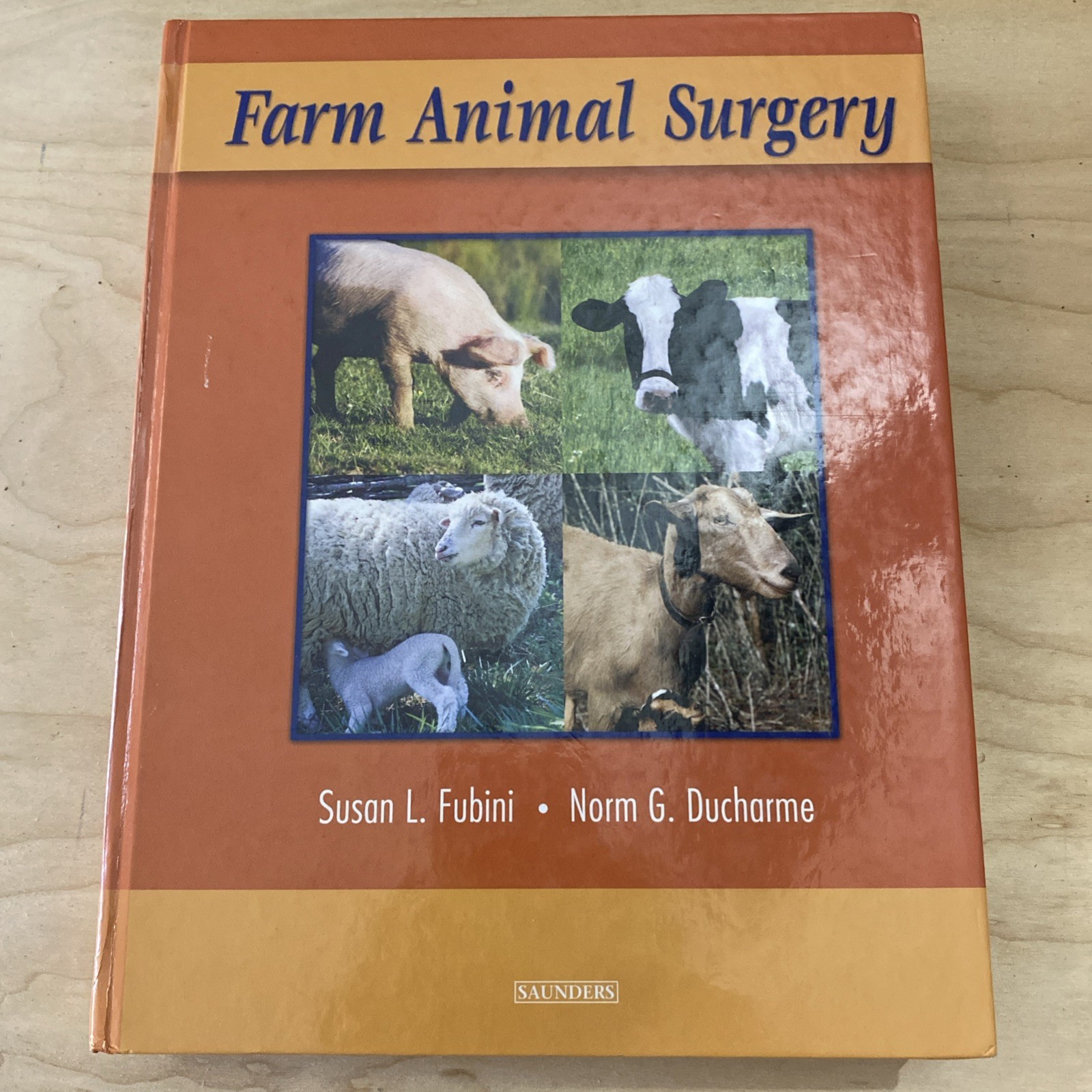 Farm Animal Surgery by Susan Fubini