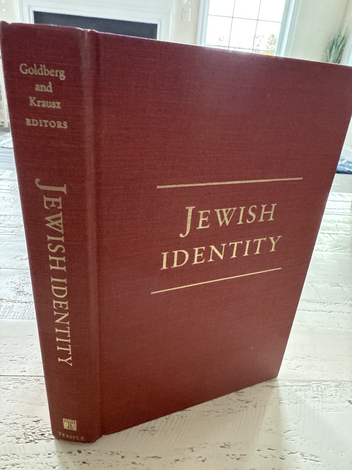 Jewish Identity 1993 Temple Univ Press Signed by Michael Krausz to His Mother HC
