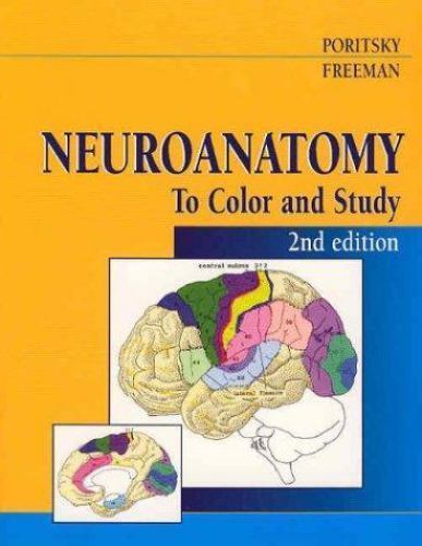 Neuroanatomy to Color and Study