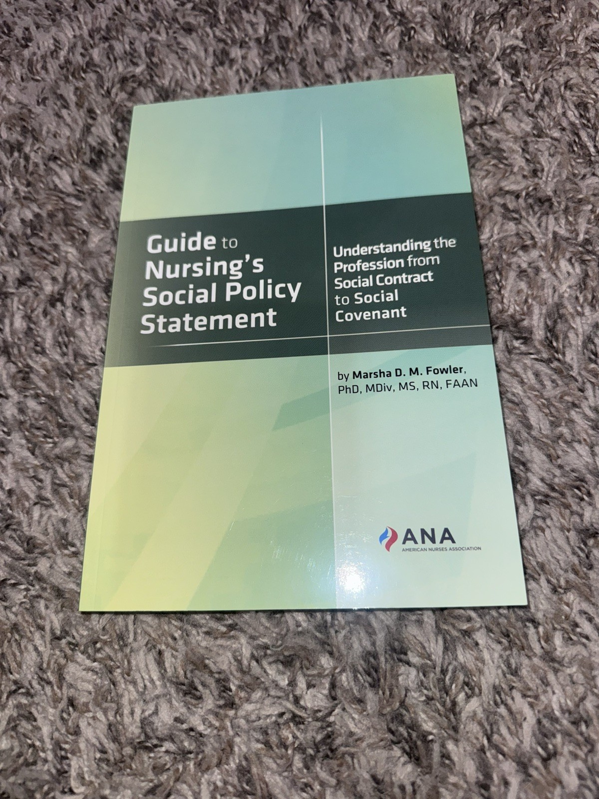 Guide to Nursing’s Social Policy Statement by Marsha D.M Fowler – New