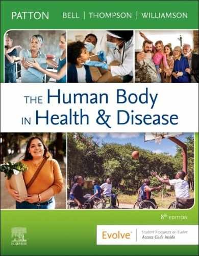 The Human Body in Health & – Paperback, by Patton PhD Kevin – Very Good v