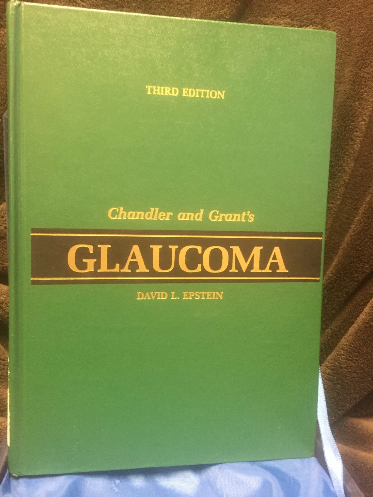 Chandler and Grant’s Glaucoma by David L. Epstein