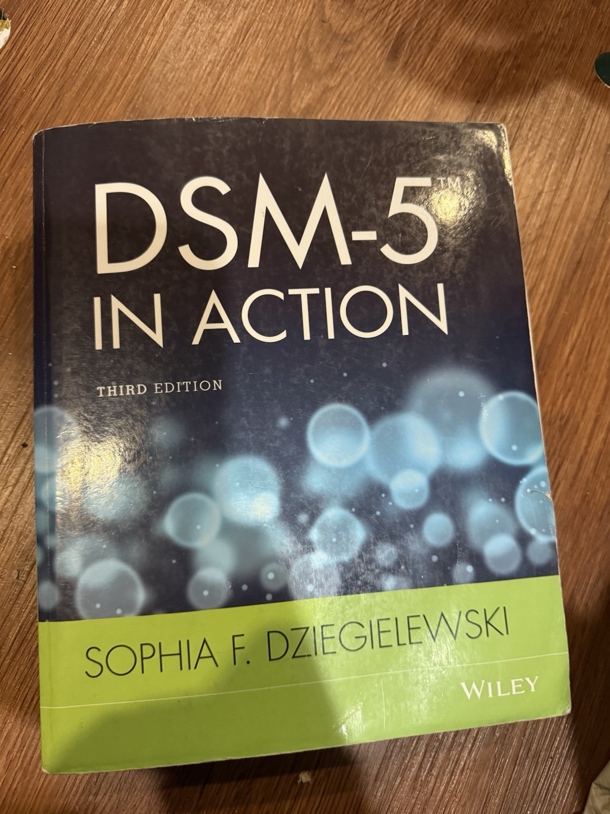 DSM-5 in Action by Sophia F. Dziegielewski (2014, Trade Paperback)